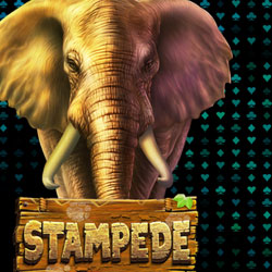Get Up To 100 Free Spins on Stampede, Juicy Stakes Casino’s Slot of the Month