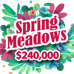 Win up to $500 In Weekly Prizes During Intertops Casino’s $240,000 Spring Meadows Contest