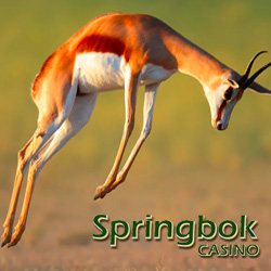 Springbok Casino Celebrates Leap Year with Leaping Wildlife Feature