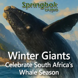 Salute South Africa’s Whale Season with 25 Free Spins on ‘The Cash is Right’ Slot at Springbok Casino