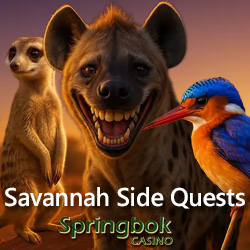 Your 2026 Guide: 25 Free Spins and Bushveld Strategy in Springbok Casino’s January Feature
