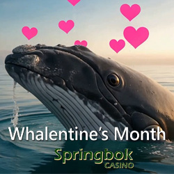 A Whale of a Love Story: Springbok Casino Celebrates ‘Whalentines Month’ with 25 Free Spins
